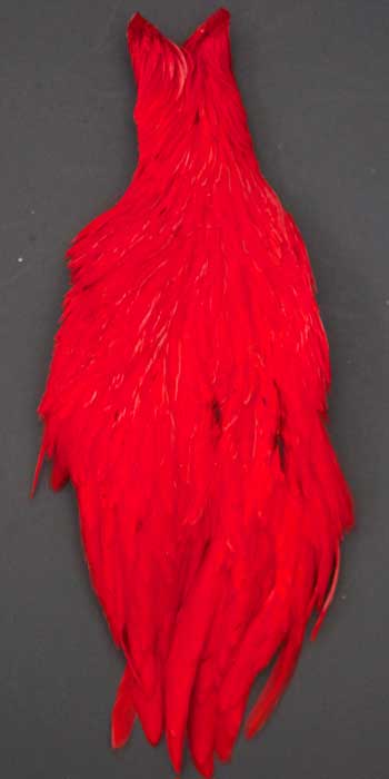 Indian Cock Neck